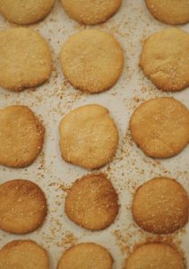 Coconut Cookies